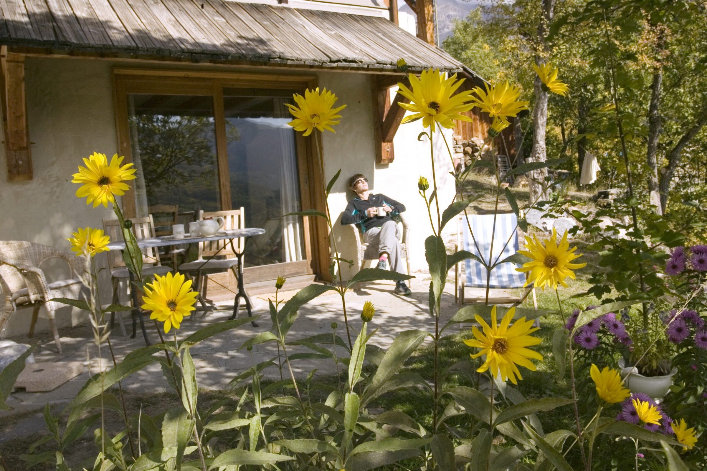 4-IMTerrasse fleurs Cat