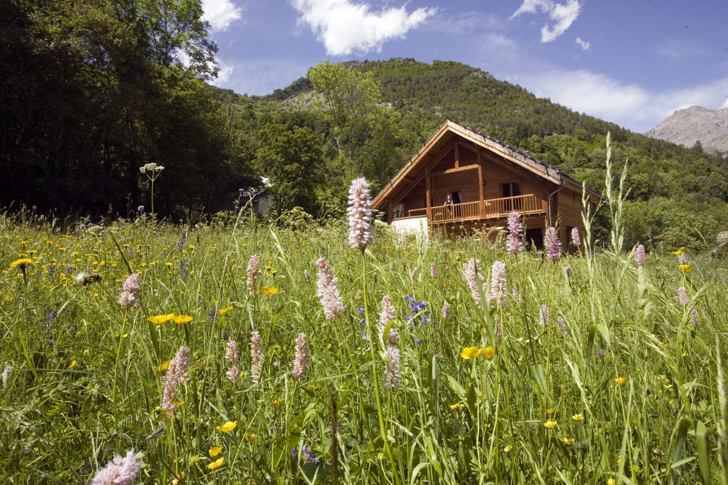 5-RebeccaChamps de fleurs chalet 0063